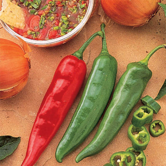 Garden Salsa Hybrid Pepper, Pots: Totally Tomatoes