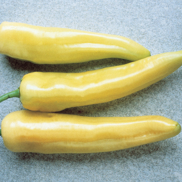 Hungarian Yellow Wax Pepper