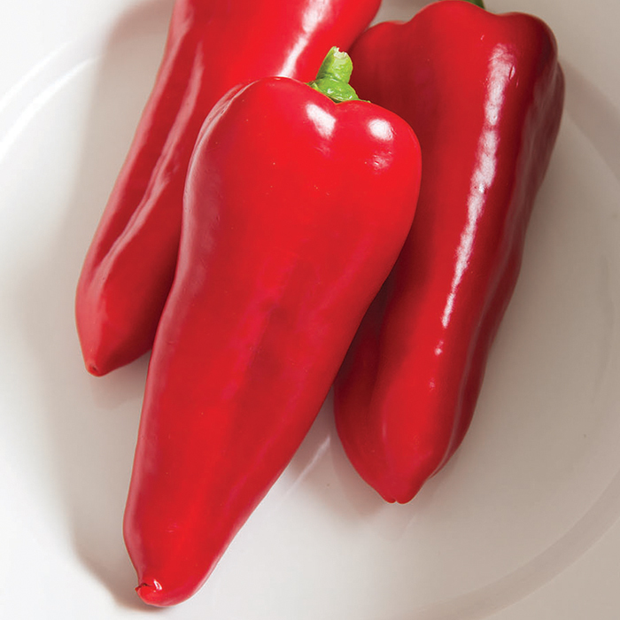 Cornito Rosso Hybrid Pepper