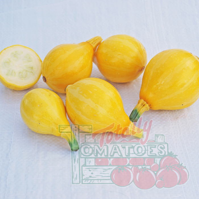 Lemon Summer Squash