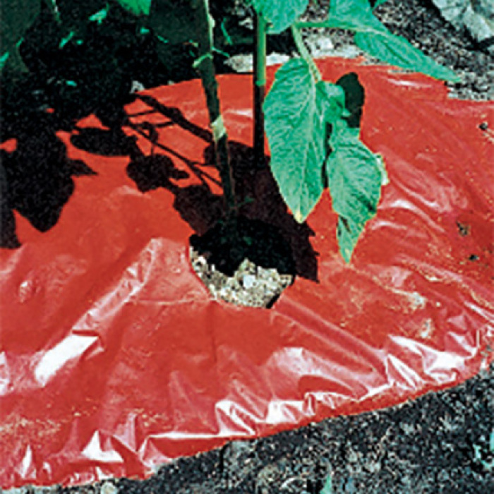 SRM Red Plastic Mulch 48 Inch X 30 Foot