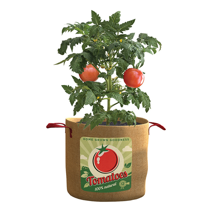 Vintage Grow Bags - Tomato