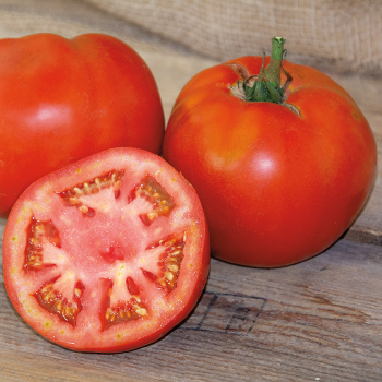 Tomato, Goliath™ Hybrid Tomato, Goliath™ Hybrid