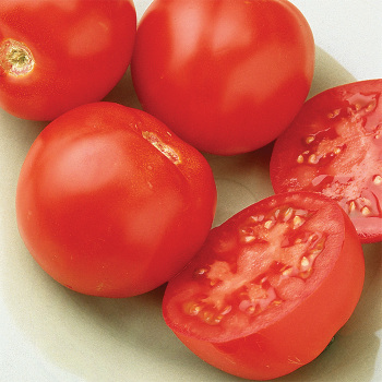 Goliath™ Early Hybrid Tomato