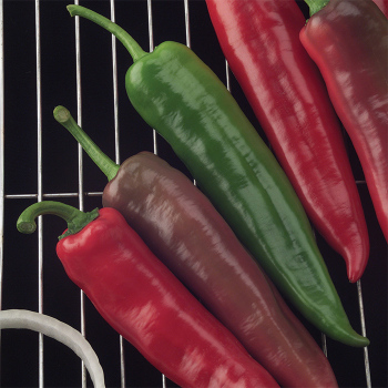 Goliath™ Griller Hybrid Pepper