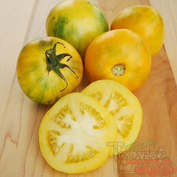Tomato, Alice's Dream Tomato, Alice's Dream