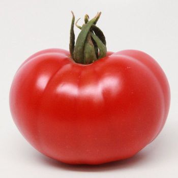American Original Red Beefsteak Hybrid Tomato