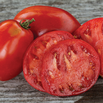 Tomato, Amish Paste  Tomato, Amish Paste