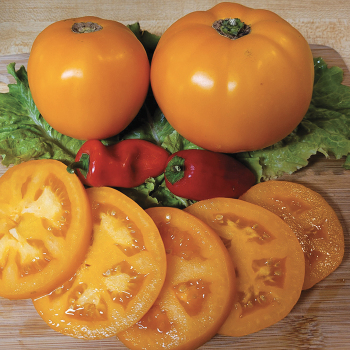 Brandywine, Yellow - Slicer Tomato Seeds – The Incredible Seed