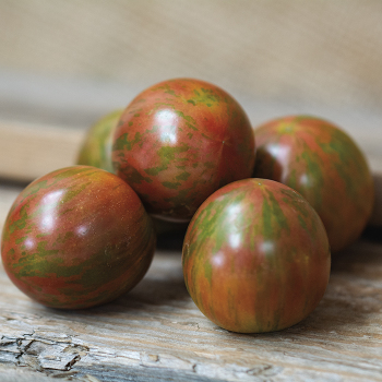 Tomato, Artisan™ Purple Bumble Bee  Tomato, Artisan™ Purple Bumble Bee