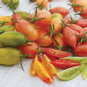 Artisian™ Tiger Mix Tomato