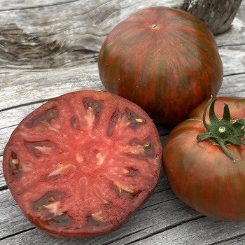 Tomato, Cream of the Crop™ Beefy Purple Hybrid