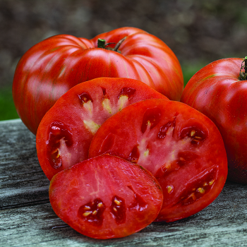 Tomato, Cream of the Crop™ Beefy Red 