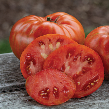 Tomato, Cream of the Crop™ Beefy Red 
