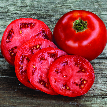 Tomato, Big Beef Plus Hybrid 