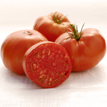 Tomato, Brandywine Red