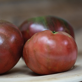 Tomato, Carbon  Tomato, Carbon