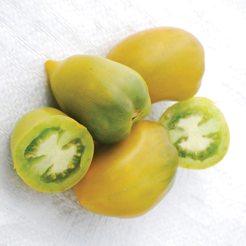 Chile Verde Tomato