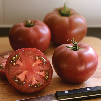 Heirloom Marriage Cherokee Carbon Hybrid Tomato