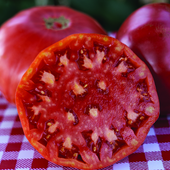Tomato, Chef's Choice Pink Hybrid 