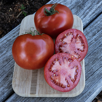 Tomato, Celebrity Plus Hybrid 
