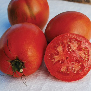 Comstock Sauce And Slice Tomato