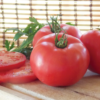 Damsel Hybrid Tomato