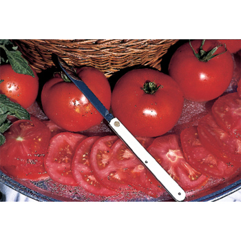 Fantastic Hybrid Tomato