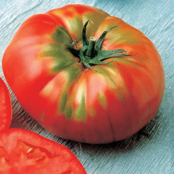 German Head Tomato