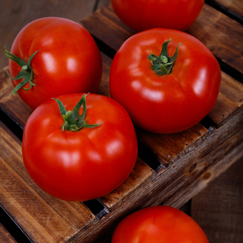 Hybrid Tomato Seeds: Totally Tomatoes