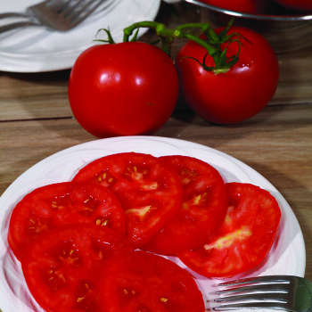 Grand Marshall Hyb Tomato