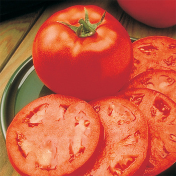 Homestead Tomato