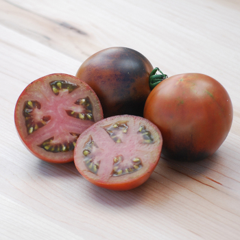 Tomato, Indigo Blue Chocolate