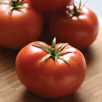 Loki Hybrid Tomato