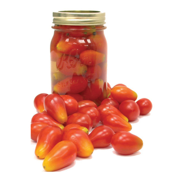 New Hampshire Pickling Tomato