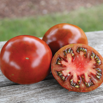 Tomato, Paul Robeson  Tomato, Paul Robeson