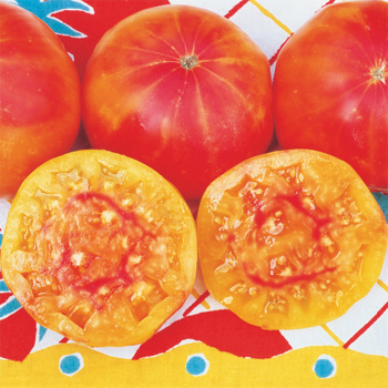 Pineapple Tomato