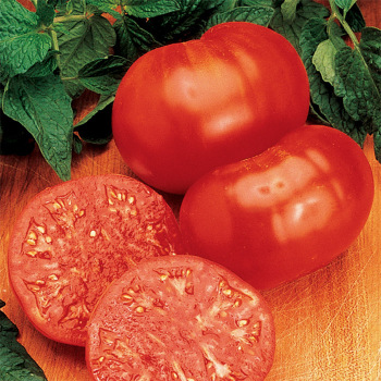 Ponderosa Red Tomato