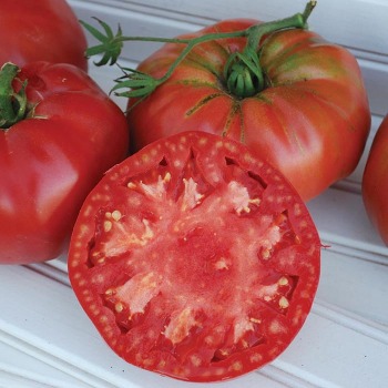 Prudens Purple Tomato