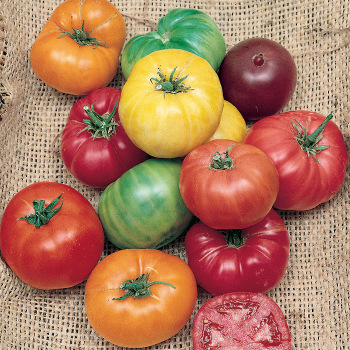 Rainbow Beefsteak Mix Tomato