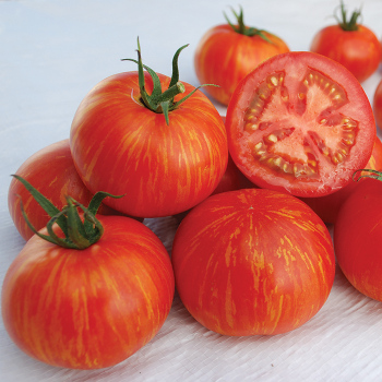 Skyreacher Tomato