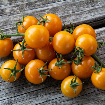 Tomato, SunSugar Hybrid
