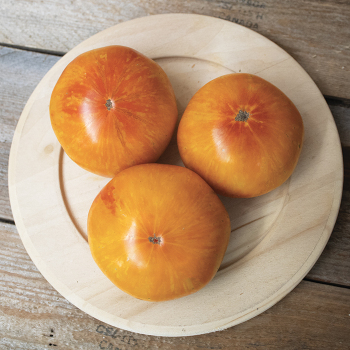 Tomato, Wild Boar Beauty King 