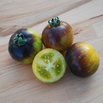 Tomato, Woolly Kate Yellow