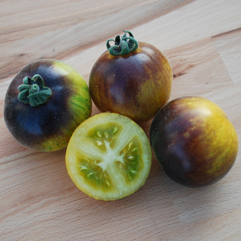 Tomato, Woolly Kate Yellow Tomato, Woolly Kate Yellow