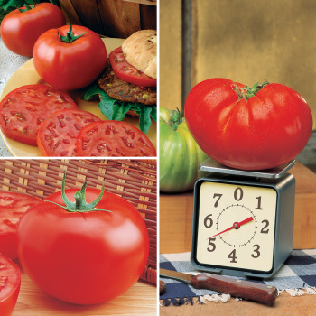 Garden-Ready Heavyweight Collection