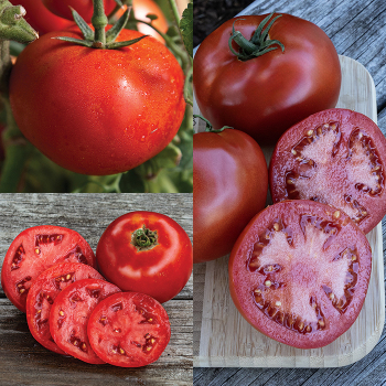 Main Crop Collection