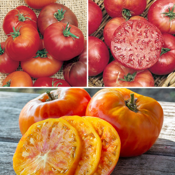 Garden-Ready Old-Time Favorites Collection