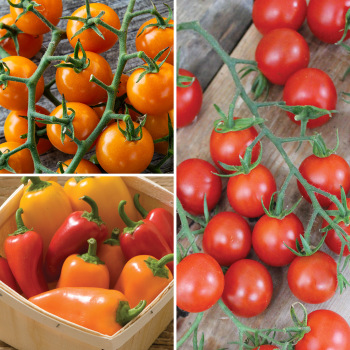 Garden-Ready Small Bites Collection