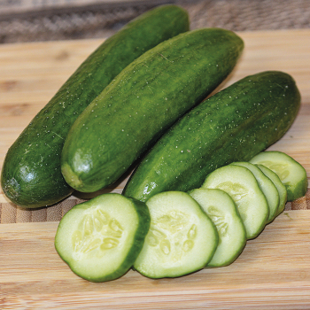 Cucumber, Muncher  Cucumber, Muncher